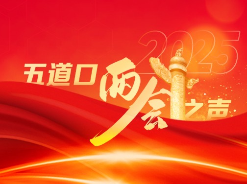 2025五道口两会之声